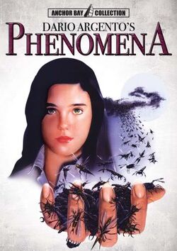 Phenomena